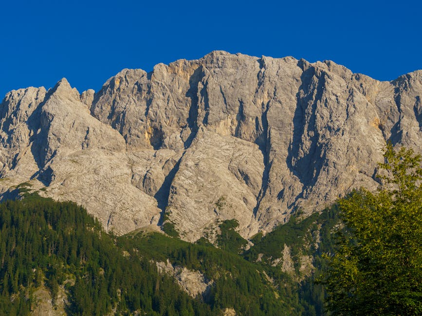 Madrid Gastronómico